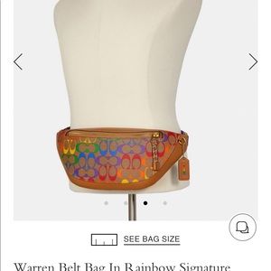 Warren Belt Bag In Rainbow 🌈 Signature Canvas